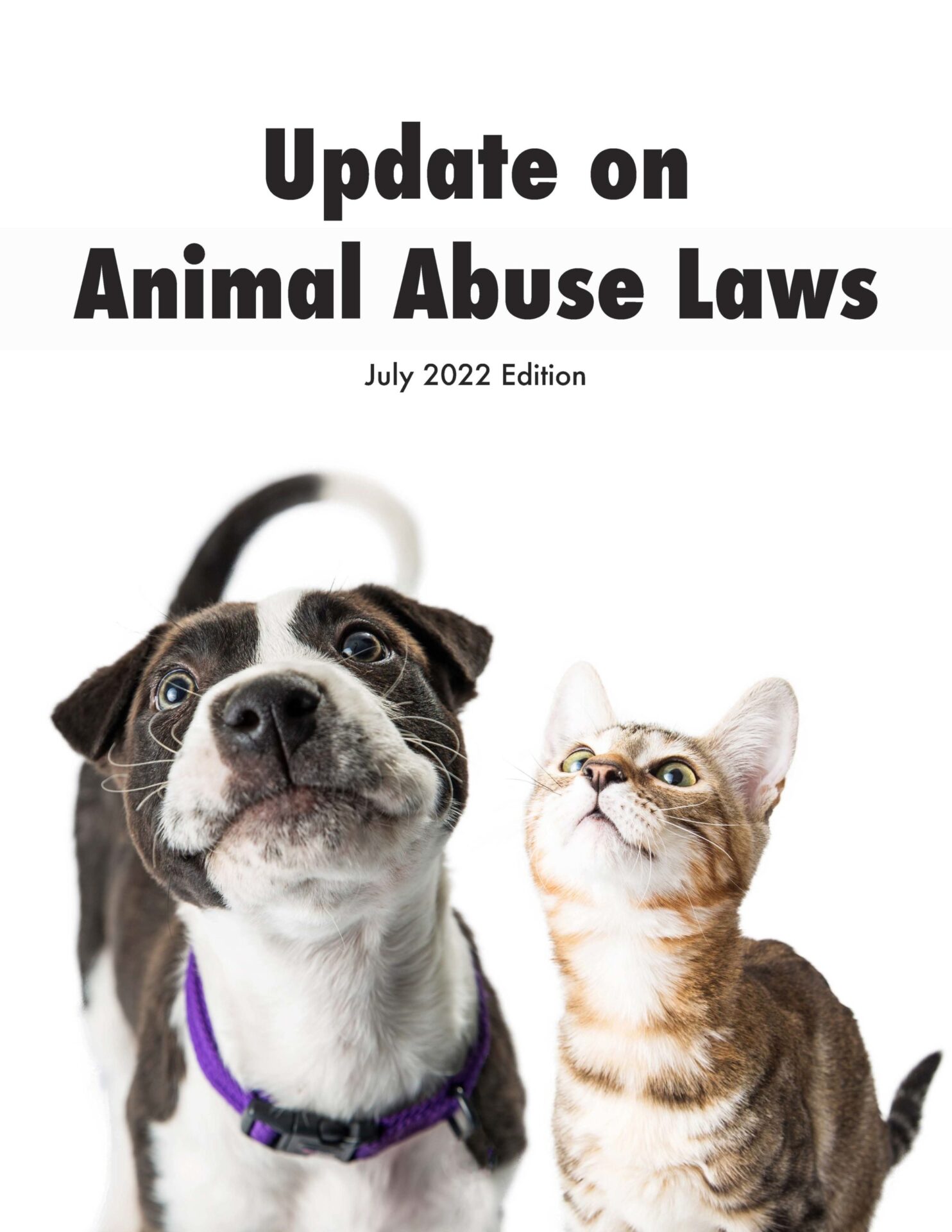 Animal Abuse Update Laws On Animal Cruelty Crush Videos And Dog 